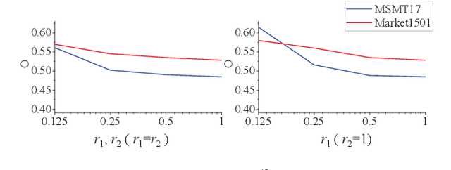 Figure 3 for Resolution-invariant Person Re-Identification