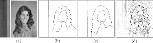 Figure 4 for Combinatorial pyramids and discrete geometry for energy-minimizing segmentation