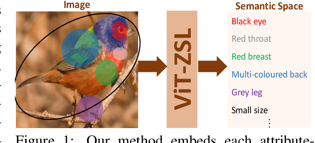 Figure 1 for Multi-Head Self-Attention via Vision Transformer for Zero-Shot Learning