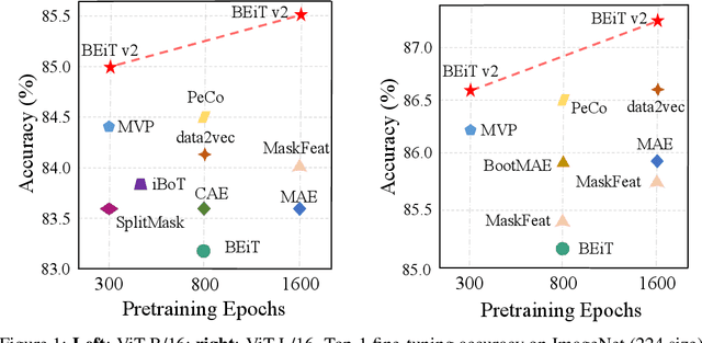 Figure 1 for BEiT v2: Masked Image Modeling with Vector-Quantized Visual Tokenizers
