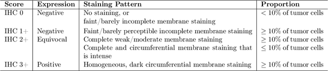 Figure 2 for Automated Scoring System of HER2 in Pathological Images under the Microscope