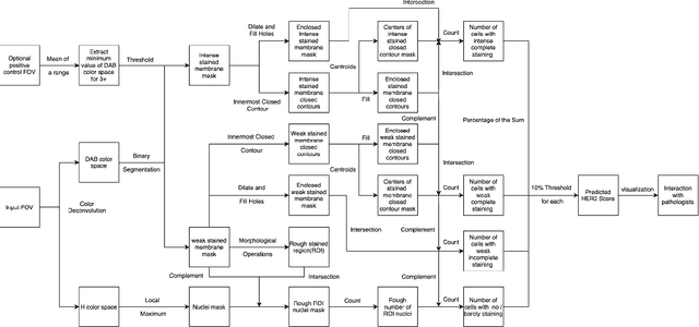 Figure 3 for Automated Scoring System of HER2 in Pathological Images under the Microscope