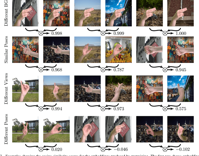 Figure 4 for Contrastive Representation Learning for Hand Shape Estimation
