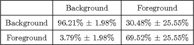 Figure 2 for Semi-Supervised Recognition of the Diploglossus Millepunctatus Lizard Species using Artificial Vision Algorithms