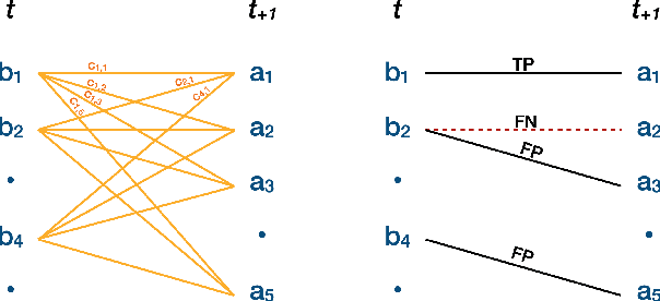 Figure 4 for Statistical shape representations for temporal registration of plant components in 3D