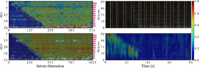 Figure 4 for Neuronal Learning Analysis using Cycle-Consistent Adversarial Networks