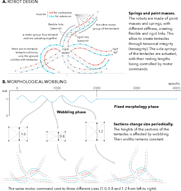 Figure 1 for Morphological Wobbling Can Help Robots Learn