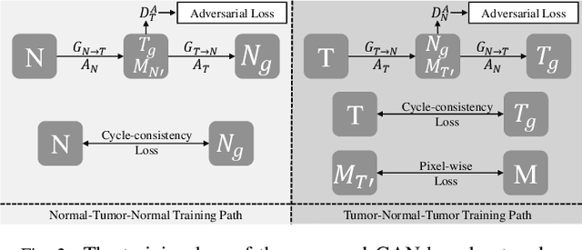 Figure 2 for SAG-GAN: Semi-Supervised Attention-Guided GANs for Data Augmentation on Medical Images