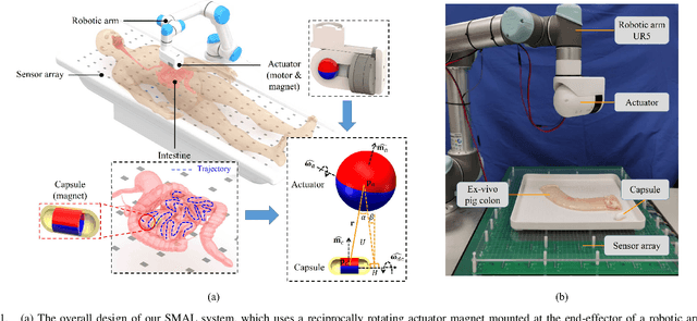 Figure 1 for Trajectory Following of a Reciprocally Rotating Magnetic Capsule in a Tubular Environment