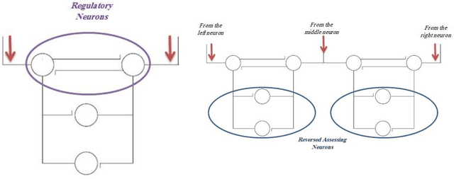 Figure 3 for Applied Neural Cross-Correlation into the Curved Trajectory Detection Process for Braitenberg Vehicles