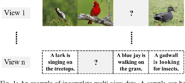 Figure 1 for Latent Heterogeneous Graph Network for Incomplete Multi-View Learning