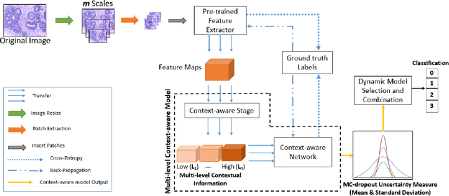 Figure 2 for MCUa: Multi-level Context and Uncertainty aware Dynamic Deep Ensemble for Breast Cancer Histology Image Classification