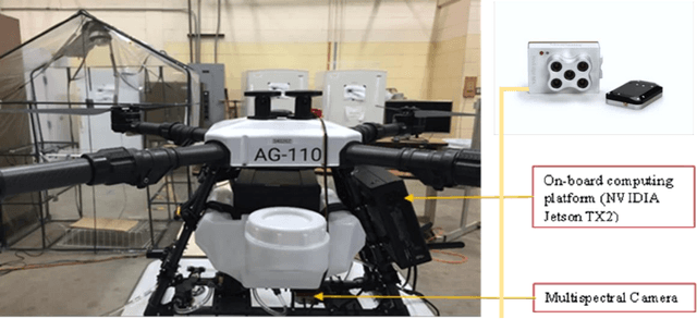 Figure 3 for Computer Vision for Volunteer Cotton Detection in a Corn Field with UAS Remote Sensing Imagery and Spot Spray Applications