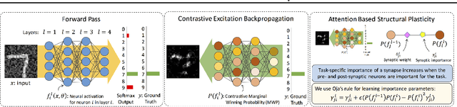 Figure 3 for Attention-Based Structural-Plasticity