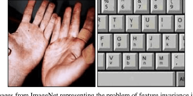 Figure 1 for Saliency Map Based Data Augmentation