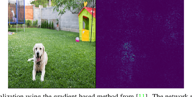 Figure 3 for Saliency Map Based Data Augmentation