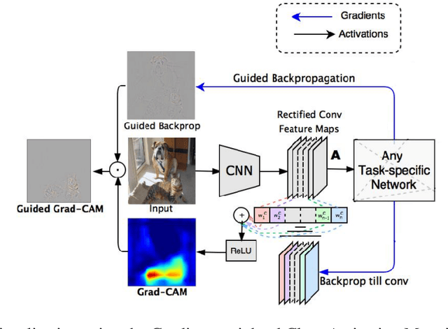 Figure 4 for Saliency Map Based Data Augmentation