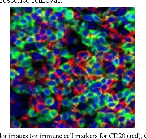 Figure 1 for ESCELL: Emergent Symbolic Cellular Language