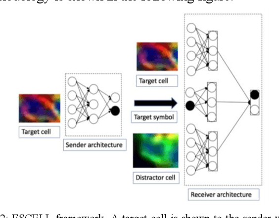 Figure 3 for ESCELL: Emergent Symbolic Cellular Language