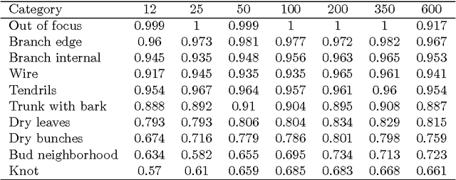 Figure 4 for Image Classification of Grapevine Buds using Scale-Invariant Features Transform, Bag of Features and Support Vector Machines