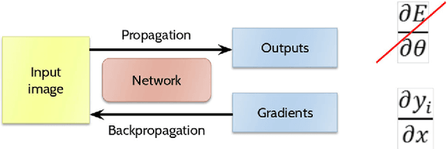 Figure 4 for Are 2D-LSTM really dead for offline text recognition?