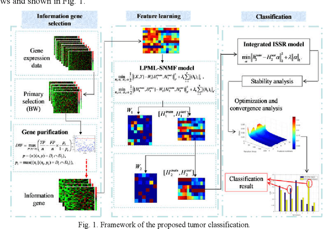 Figure 1 for Breast Tumor Classification Based on Decision Information Genes and Inverse Projection Sparse Representation