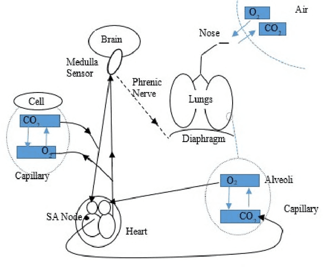 Figure 2 for Definitions and Semantic Simulations Based on Object-Oriented Analysis and Modeling