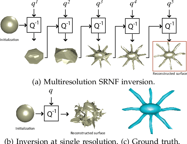 Figure 1 for Numerical Inversion of SRNF Maps for Elastic Shape Analysis of Genus-Zero Surfaces