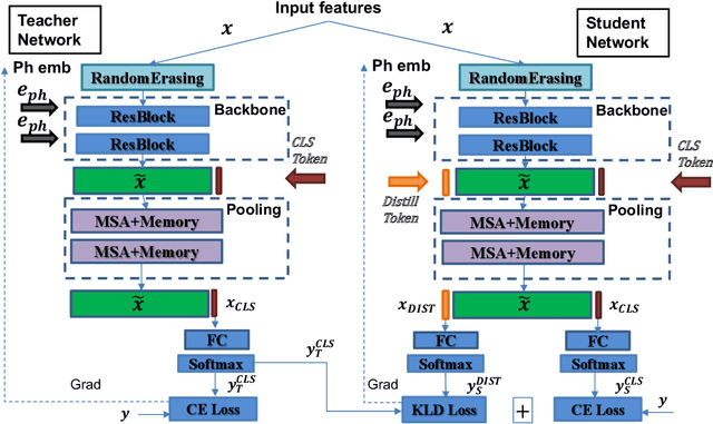 Figure 3 for Class Token and Knowledge Distillation for Multi-head Self-Attention Speaker Verification Systems