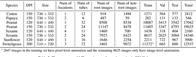 Figure 4 for PRMI: A Dataset of Minirhizotron Images for Diverse Plant Root Study