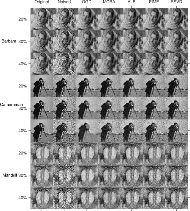 Figure 4 for Efficient Noise Filtration of Images by Low-Rank Singular Vector Approximations of Geodesics' Gramian Matrix