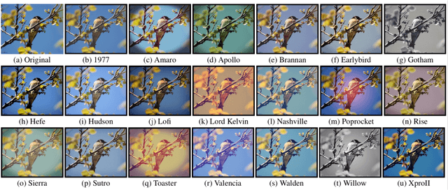 Figure 3 for Recognizing Instagram Filtered Images with Feature De-stylization