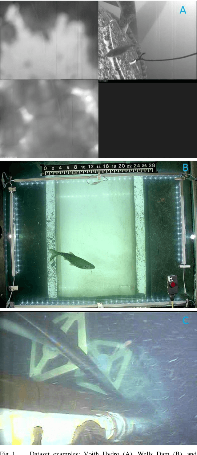 Figure 1 for Underwater Fish Detection using Deep Learning for Water Power Applications