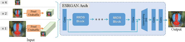 Figure 3 for Real-ESRGAN: Training Real-World Blind Super-Resolution with Pure Synthetic Data