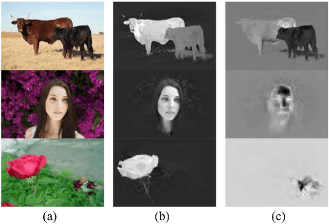 Figure 1 for Object Discovery via Cohesion Measurement
