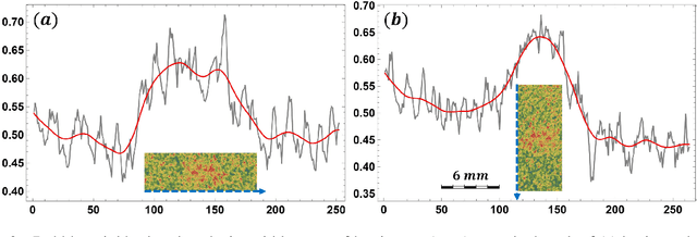 Figure 3 for Resolving gas bubbles ascending in liquid metal from low-SNR neutron radiography images