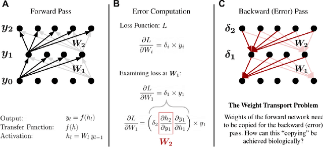 Figure 1 for Spike-Timing-Dependent Inference of Synaptic Weights