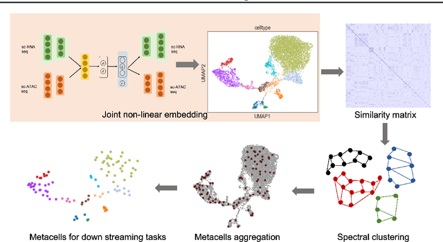 Figure 3 for COEM: Cross-Modal Embedding for MetaCell Identification