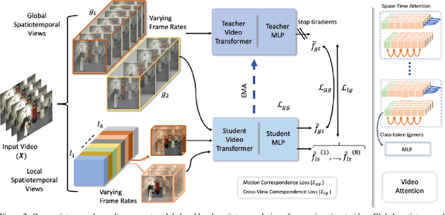 Figure 3 for Self-supervised Video Transformer