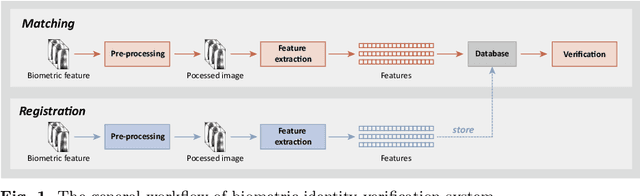 Figure 1 for Artificial Neural Networks for Finger Vein Recognition: A Survey