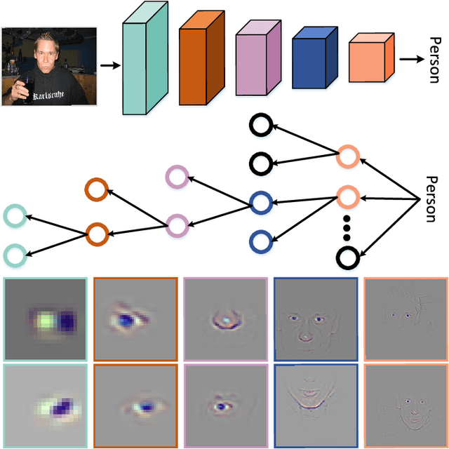 Figure 1 for Deeply Explain CNN via Hierarchical Decomposition