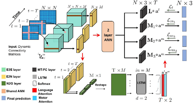 Figure 1 for A Multi-Task Deep Learning Framework to Localize the Eloquent Cortex in Brain Tumor Patients Using Dynamic Functional Connectivity