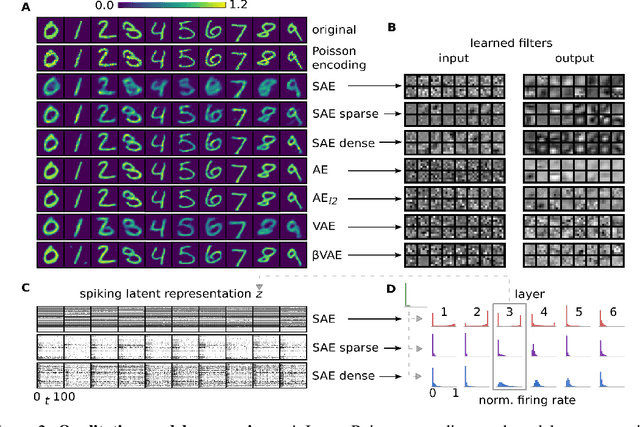 Figure 3 for Training Deep Spiking Auto-encoders without Bursting or Dying Neurons through Regularization