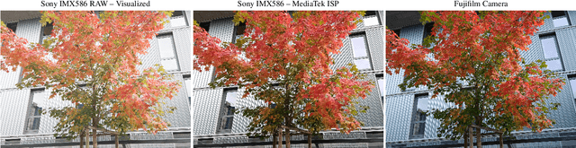 Figure 1 for Learned Smartphone ISP on Mobile NPUs with Deep Learning, Mobile AI 2021 Challenge: Report