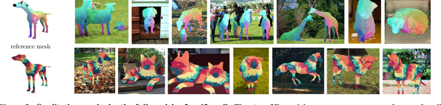 Figure 2 for Discovering Relationships between Object Categories via Universal Canonical Maps