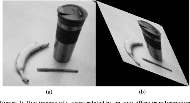 Figure 1 for Affine Differential Invariants for Invariant Feature Point Detection