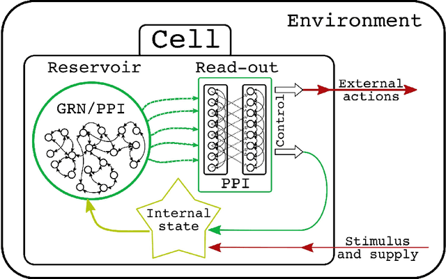Figure 1 for Constrained plasticity reserve as a natural way to control frequency and weights in spiking neural networks