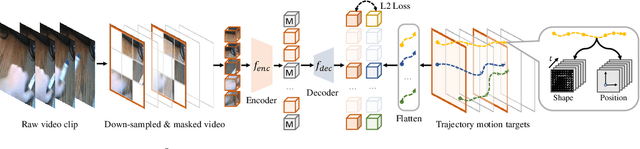 Figure 2 for M$^3$Video: Masked Motion Modeling for Self-Supervised Video Representation Learning