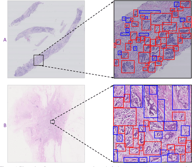 Figure 1 for Logical Assessment Formula and its Principles for Evaluations without Accurate Ground-Truth Labels
