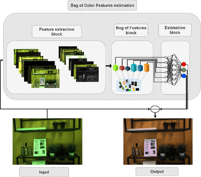 Figure 1 for Bag of Color Features For Color Constancy